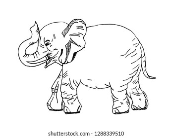 Elephant. Objects isolated on white, vector black white illustration.