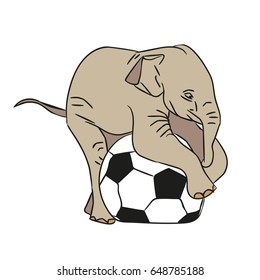 The elephant on the ball