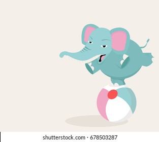 elephant on ball