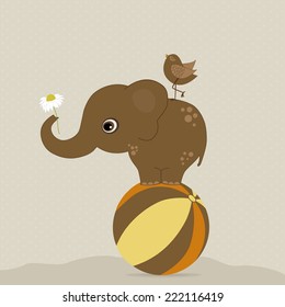 Elephant on the ball with a bird on beige background
