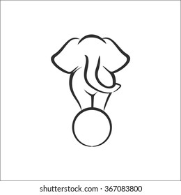 Elephant on the ball in circus