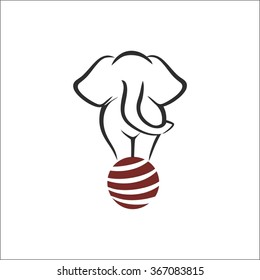 Elephant on the ball in circus