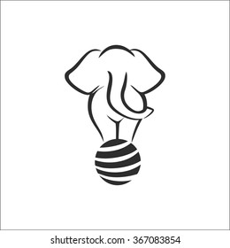 Elephant on the ball in circus