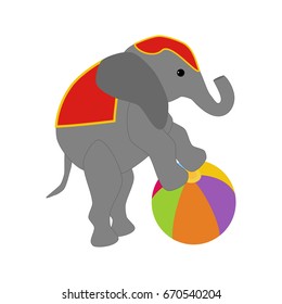 Elephant on the ball in circus on the white background. Vector illustration