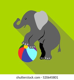 Elephant on a ball icon. Flat illustration of elephant on a ball vector icon for web isolated on green background
