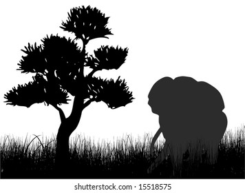 Elephant on the grass illustration