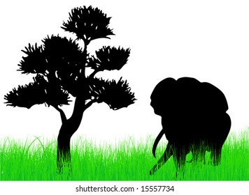 Elephant on the grass illustration