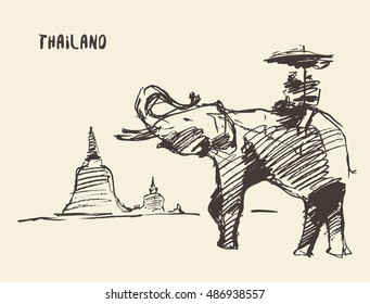 Elephant on an ride tour near the temple. Thailand vector illustration, sketch
