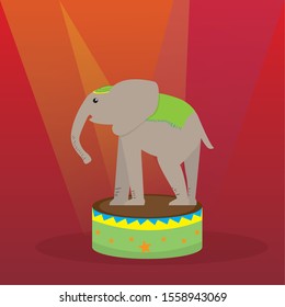 Elephant on stage. Circus concept - Vector illustration