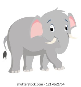 An elephant is on the white background.
