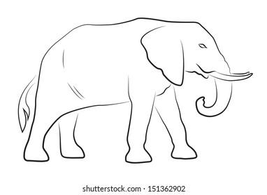 Elephant on white background