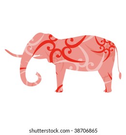 elephant on white background