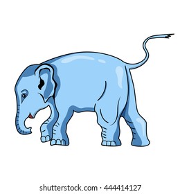 Elephant on a white background