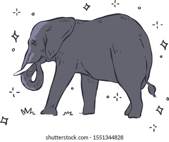 Elephant on white background . Elephant vector illustration 