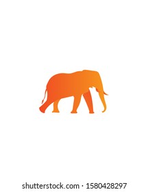 Elephant. With orange color vector graphic symbol design.