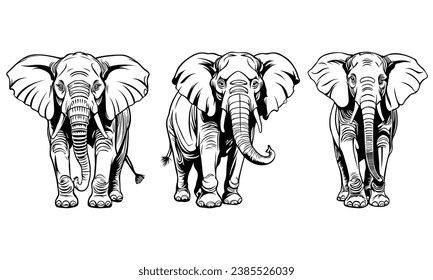 elephant outline drawing using a vector format