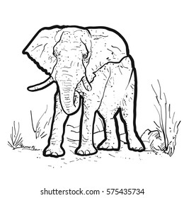 Elephant Outline Illustration, Hand-drawn Vector Clipart