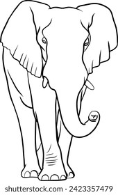 Elephant outline illustration on transparent background