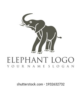 Logo del contorno elefante, simple ilustración vectorial del elefante. Elegante elefante de una línea con suerte para los niños y su uso de negocios. elefante bebé, fauna o zoológico delineado.