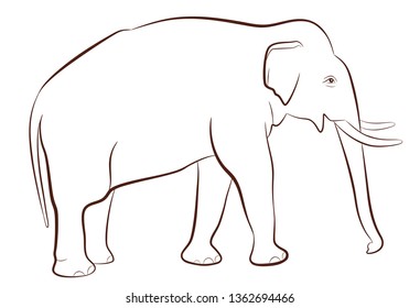 Elephant in outline style isolated on white background, coloring page for children, vector illustration of male elephant