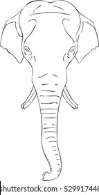 elephant outline vector on white background