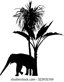 Elephant and palm silhouette
