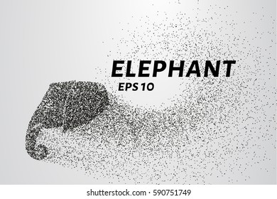 The elephant of the particle. The elephant consists of circles and points. Vector illustration.