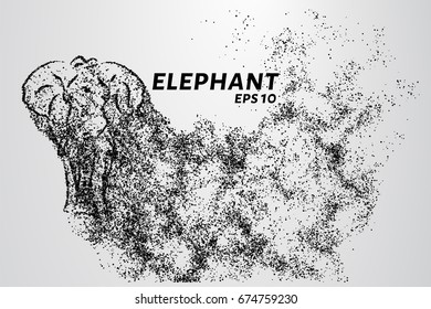 The elephant of the particle. The elephant consists of circles and points. Vector illustration.