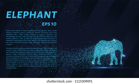 The elephant of the particle. The elephant is made up of little circles