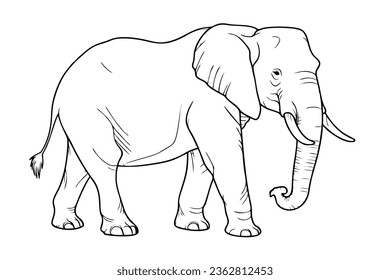 Elephant pencil drawing coloring book. Vector illustration