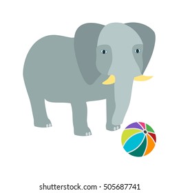 Elephant Performing
