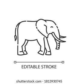 Elephant pixel perfect linear icon. Exotic wildlife. Thin line customizable illustration. Contour symbol. Large mammal with long trunk and tusks vector isolated outline drawing. Editable stroke