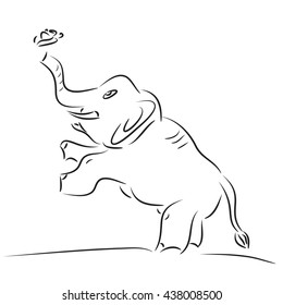 elephant play with butterfly