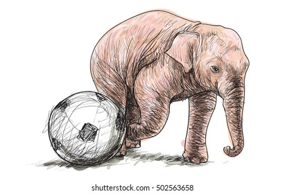 elephant playing football, sketch free hand draw illustration vector
