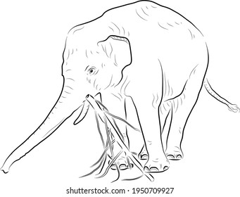  Elephant playing with tree. Minimalistic style.