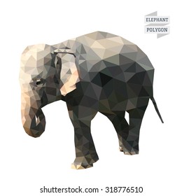 Elephant Polygon Vector