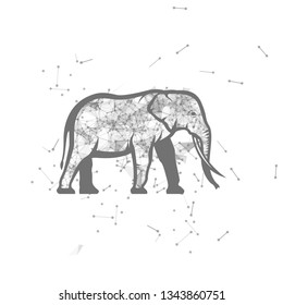 elephant.  Polygonal wireframe elephant silhouette. low poly vector illustrations on background of points and lines.