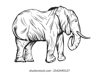 Retrato de elefante en estilo de dibujo a tinta. Ilustración de boceto de tinta de grabado de Antiguas aislado elefante. Animal africano del arte de la silueta del fondo del obispo, elefante del grabado del vintage, animal aislado