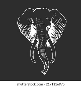 Elephant portrait on a black background. Hand drawn illustration.
