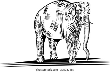 Elephant,
Elephant is the powerful Animal, All elements are in separate layers color can be changed easily.   