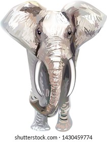 elephant print illustration vector realistic