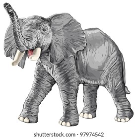 elephant with raised trunk isolated on white background / eps10