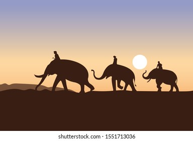 Elephant riders are transporting In the morning, the sunrise