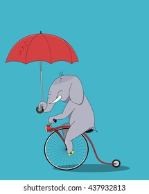 Elephant rides bicycle and holding a parasol. The concept of travel and eccentricity