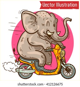 Elephant rides a motorbike (scooter). Vector illustration.