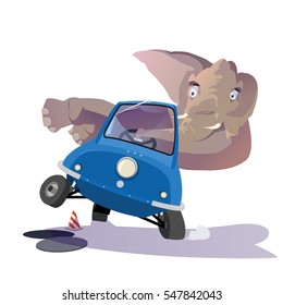 Elephant rides on to a tiny blue car. Sunlight illuminates the Elephant. Elephant scared by high speed