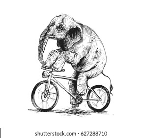 Elephant riding bicycle, Hand Drawn Sketch Vector illustration.