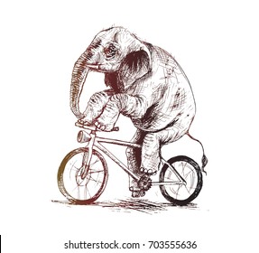 Elephant riding bicycle t-shirt design, Hand Drawn Sketch Vector illustration.