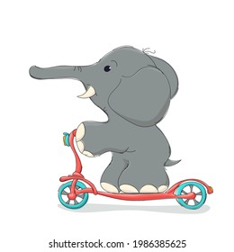 Elephant riding a scooter, vector cartoon character over white background