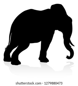 An elephant safari animal silhouette 